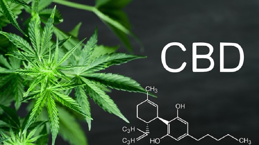 CBD-Cannabis-Affiliate-Marketing