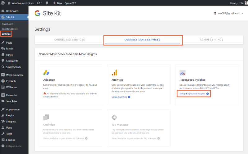 Site Kit page speed insights