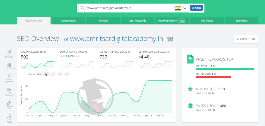 SpyFu SEO Reporting Tools