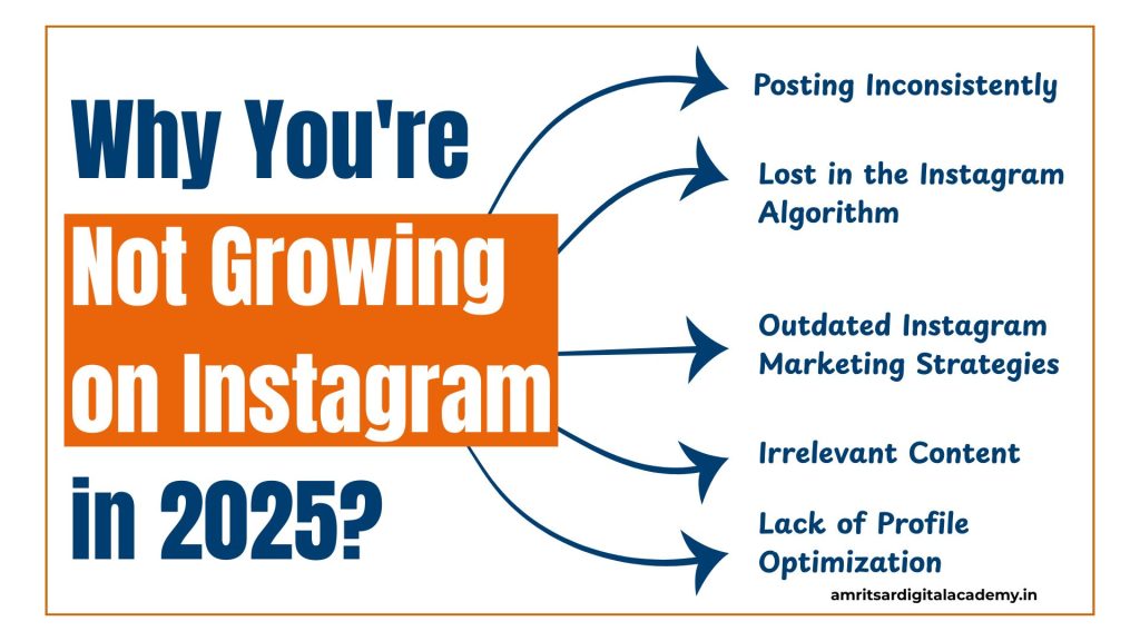 Why Instagram not growing