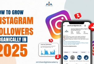 How to grow Instagram Followers organically
